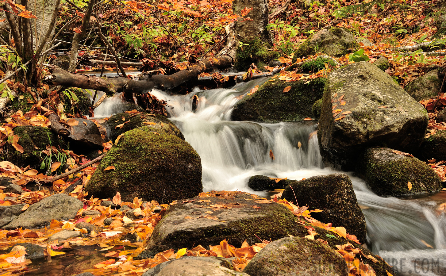 Jericho Mountain State Park [56 mm, 1/5 sec at f / 13, ISO 100]